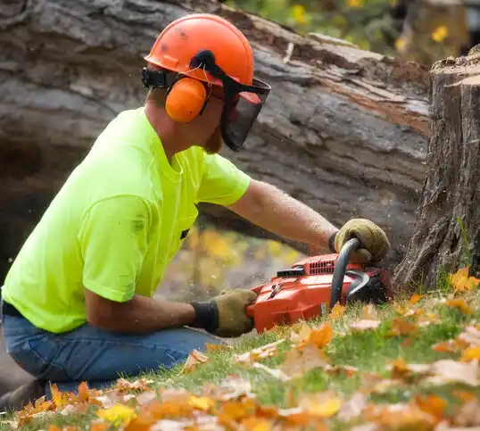 tree services Enderlin